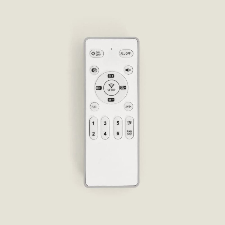 Ventilateur de Plafond Moderne Noir avec Pales Transparentes