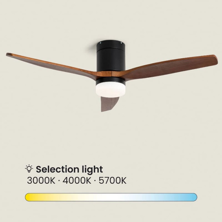 Ventilateur de Plafond Moderne Noir avec Pales en Bois Foncé Éclairage et Moteur Silencieux