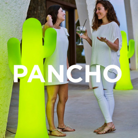 Pancho - cactus lumineux - Newgarden